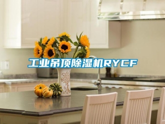 常見問題工業吊頂除濕機RYCF