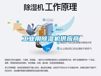 常見問題工業用除濕機供應商