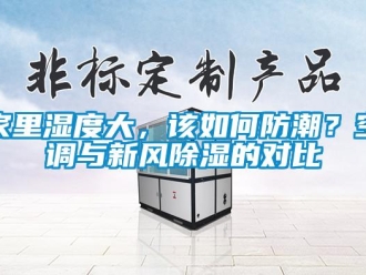 企業(yè)新聞家里濕度大，該如何防潮？空調(diào)與新風(fēng)除濕的對(duì)比