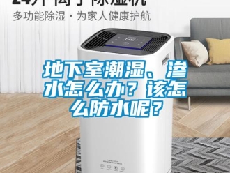 企業(yè)新聞地下室潮濕、滲水怎么辦？該怎么防水呢？