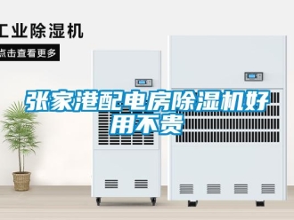 行業(yè)新聞張家港配電房除濕機好用不貴