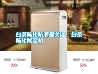 行業新聞白茶陳化防潮是關鍵，白茶陳化除濕機