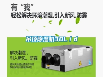 行業新聞吊頂除濕機30L／d