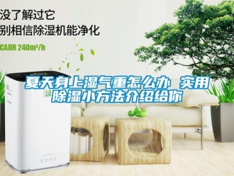 企業新聞夏天身上濕氣重怎么辦 實用除濕小方法介紹給你