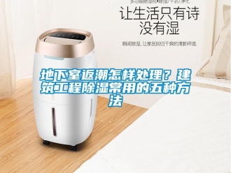 企業新聞地下室返潮怎樣處理？建筑工程除濕常用的五種方法