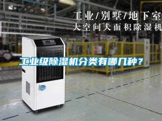 常見問題工業級除濕機分類有哪幾種？