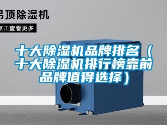 企業新聞十大除濕機品牌排名（十大除濕機排行榜靠前品牌值得選擇）