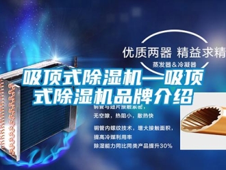 企業新聞吸頂式除濕機—吸頂式除濕機品牌介紹