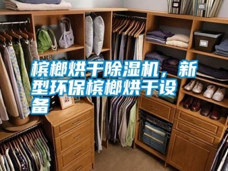 行業新聞檳榔烘干除濕機，新型環保檳榔烘干設備