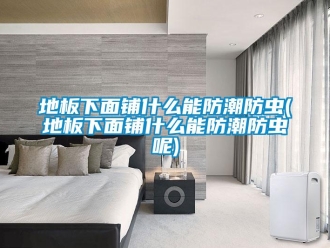 企業新聞地板下面鋪什么能防潮防蟲(地板下面鋪什么能防潮防蟲呢)