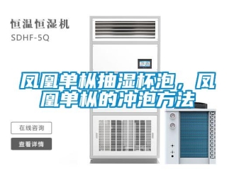 企業(yè)新聞鳳凰單樅抽濕杯泡，鳳凰單樅的沖泡方法