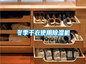 行業新聞冬季干衣使用除濕機