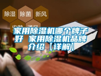 企業新聞家用除濕機哪個牌子好 家用除濕機品牌介紹【詳解】