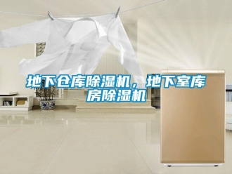 企業新聞地下倉庫除濕機，地下室庫房除濕機