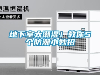 企業(yè)新聞地下室太潮濕！教你5個防潮小妙招