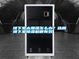 行業新聞地下室太潮濕怎么辦？選用地下室除濕機很有效