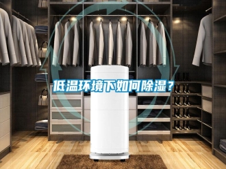 行業新聞低溫環境下如何除濕？