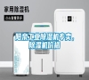 陽(yáng)泉工業(yè)除濕機(jī)專賣,除濕機(jī)價(jià)格 陽(yáng)泉工業(yè)除濕機(jī)專賣,除濕機(jī)價(jià)格