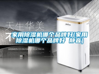企業新聞家用除濕機哪個品牌好(家用除濕機哪個品牌好 靜音)