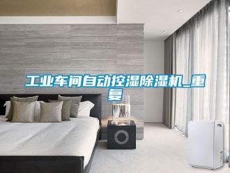 常見問題工業車間自動控濕除濕機_重復