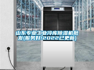常見(jiàn)問(wèn)題山東專(zhuān)業(yè)工業(yè)冷庫(kù)除濕機(jī)批發(fā)(服務(wù)好!2022已更新)