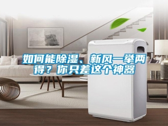 企業(yè)新聞如何能除濕、新風一舉兩得？你只差這個神器
