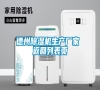 德州除濕機生產廠家 返回列表頁