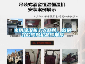企業新聞家用除濕機十大品牌，效果好的除濕機品牌推薦