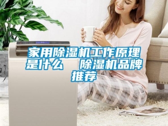 企業新聞家用除濕機工作原理是什么  除濕機品牌推薦