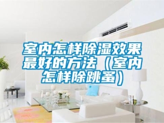 企業新聞室內怎樣除濕效果最好的方法（室內怎樣除跳蚤）