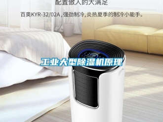 常見問題工業大型除濕機原理