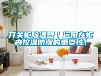 行業(yè)新聞開關柜除濕器｜運用在柜內(nèi)控濕防潮的重要性！