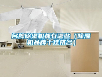 企業新聞名牌除濕機都有哪些（除濕機品牌十佳排名）