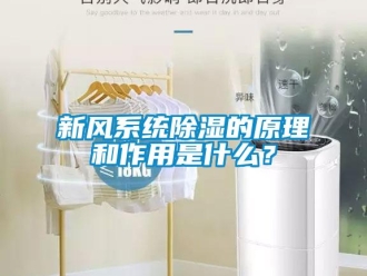 行業新聞新風系統除濕的原理和作用是什么？