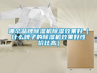 企業(yè)新聞哪個(gè)品牌除濕機(jī)除濕效果好（什么牌子的除濕機(jī)效果好性價(jià)比高）