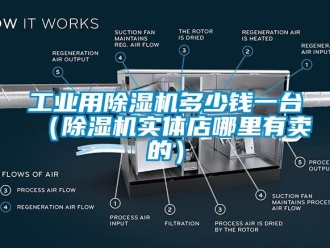 常見問題工業用除濕機多少錢一臺（除濕機實體店哪里有賣的）