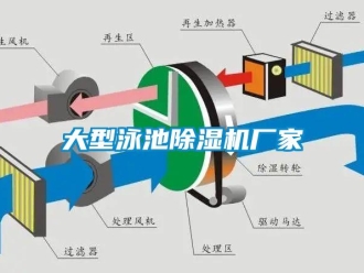 企業(yè)新聞大型泳池除濕機廠家