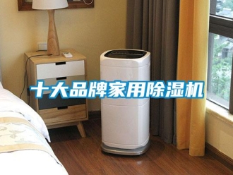 企業新聞十大品牌家用除濕機