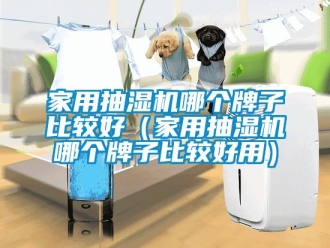 企業(yè)新聞家用抽濕機哪個牌子比較好（家用抽濕機哪個牌子比較好用）