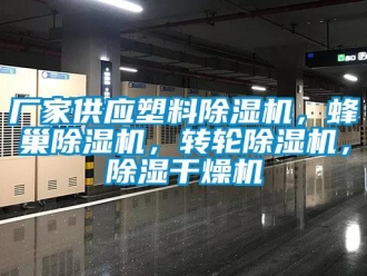 企業(yè)新聞廠家供應(yīng)塑料除濕機(jī)，蜂巢除濕機(jī)，轉(zhuǎn)輪除濕機(jī)，除濕干燥機(jī)