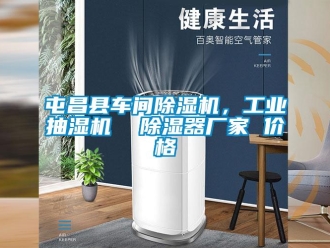 企業新聞屯昌縣車間除濕機，工業抽濕機  除濕器廠家 價格