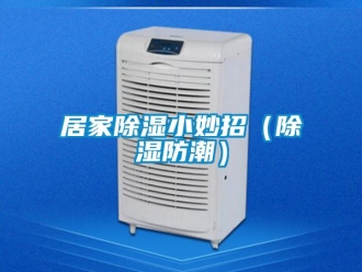 常見(jiàn)問(wèn)題居家除濕小妙招（除濕防潮）