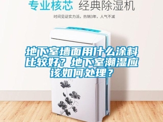 企業(yè)新聞地下室墻面用什么涂料比較好？地下室潮濕應該如何處理？