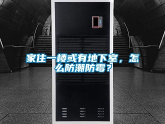企業(yè)新聞家住一樓或有地下室，怎么防潮防霉？