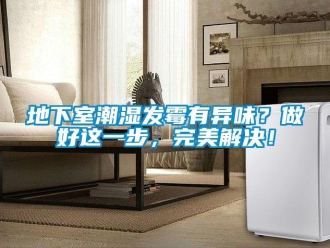 企業(yè)新聞地下室潮濕發(fā)霉有異味？做好這一步，完美解決！