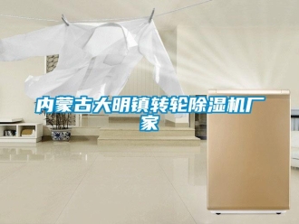 企業新聞內蒙古大明鎮轉輪除濕機廠家