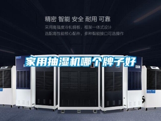 企業(yè)新聞家用抽濕機哪個牌子好