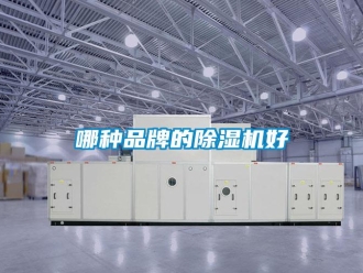 企業新聞哪種品牌的除濕機好