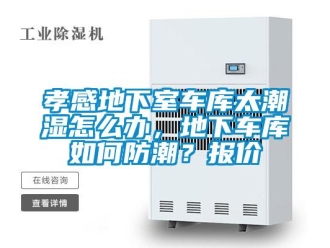企業(yè)新聞孝感地下室車庫太潮濕怎么辦，地下車庫如何防潮？報價