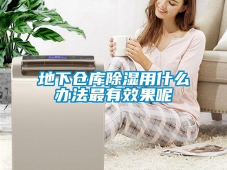 企業新聞地下倉庫除濕用什么辦法最有效果呢